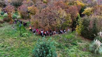 DJI_20241111200535_0030_D.JPG